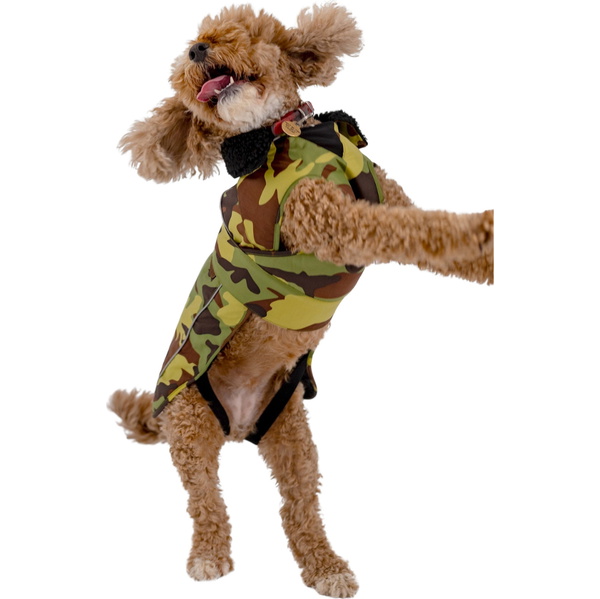 2026 Abrigo Para Perro « Dryrobe » V3DRDC - Camuflaje Verde / Black